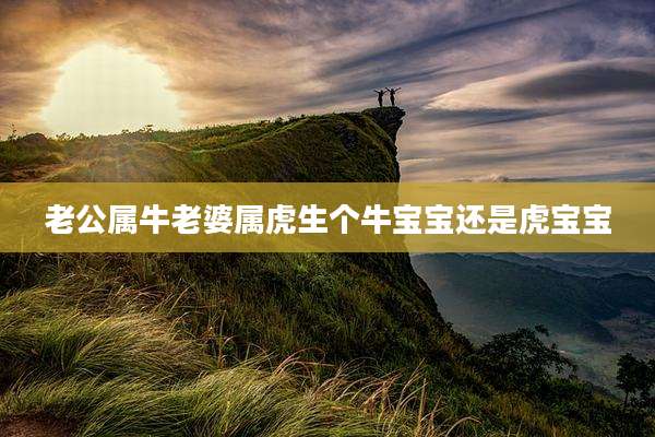 老公属牛老婆属虎生个牛宝宝还是虎宝宝