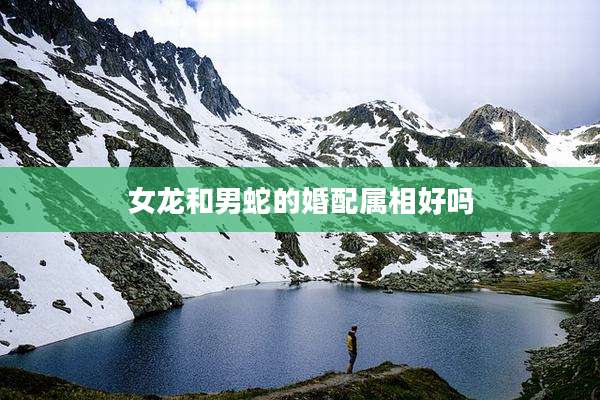 女龙和男蛇的婚配属相好吗