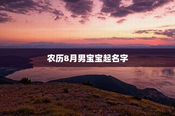 农历8月男宝宝起名字