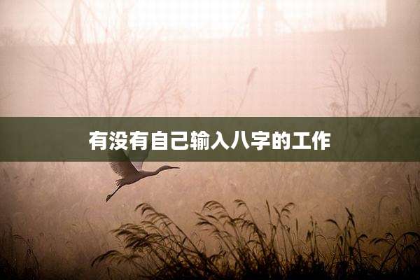 有没有自己输入八字的工作
