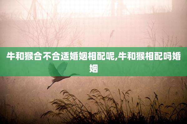 牛和猴合不合适婚姻相配呢,牛和猴相配吗婚姻