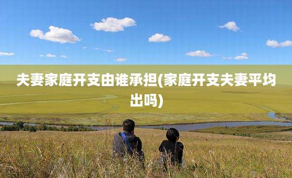 夫妻家庭开支由谁承担(家庭开支夫妻平均出吗)