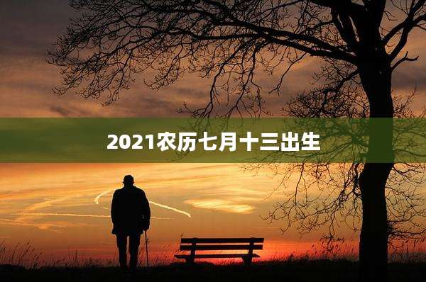 2021农历七月十三出生