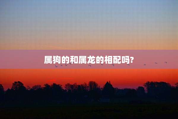 属狗的和属龙的相配吗?
