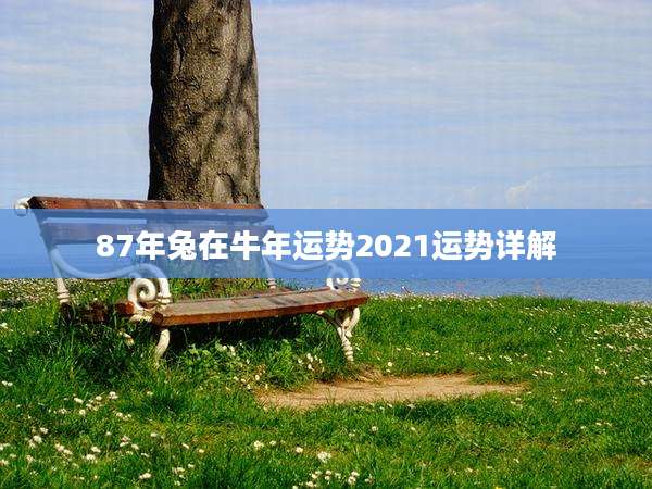 87年兔在牛年运势2021运势详解
