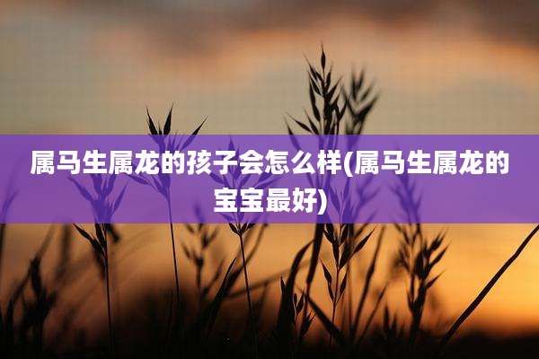 属马生属龙的孩子会怎么样(属马生属龙的宝宝最好)