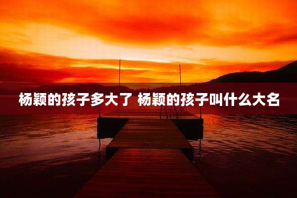 杨颖的孩子多大了 杨颖的孩子叫什么大名
