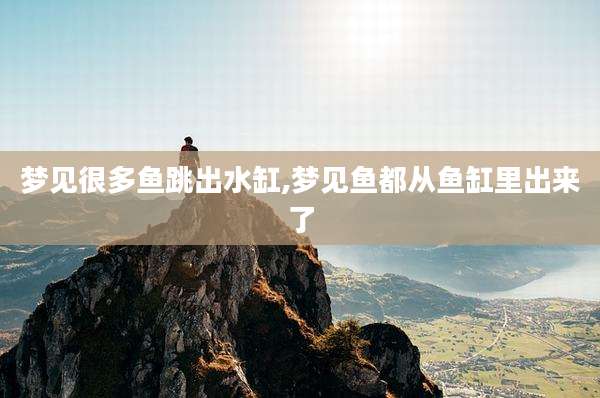 梦见很多鱼跳出水缸,梦见鱼都从鱼缸里出来了