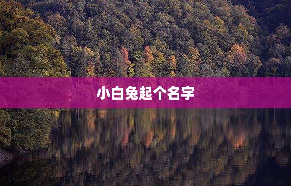 小白兔起个名字