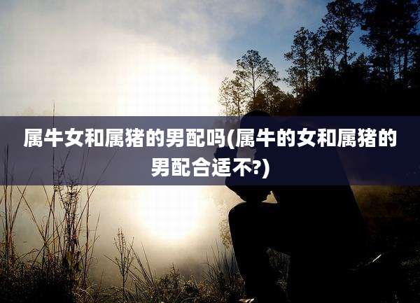 属牛女和属猪的男配吗(属牛的女和属猪的男配合适不?)
