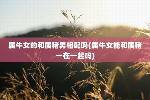 属牛女的和属猪男相配吗(属牛女能和属猪一在一起吗)
