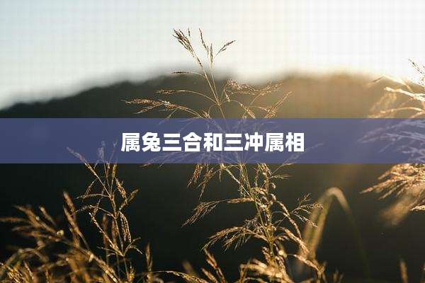 属兔三合和三冲属相