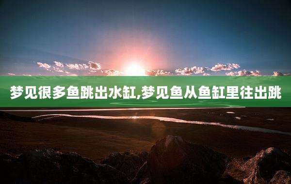 梦见很多鱼跳出水缸,梦见鱼从鱼缸里往出跳