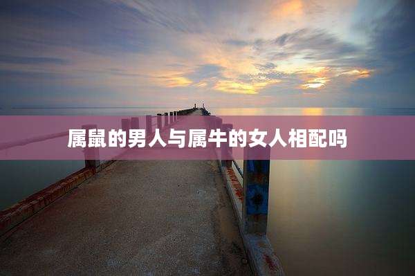 属鼠的男人与属牛的女人相配吗