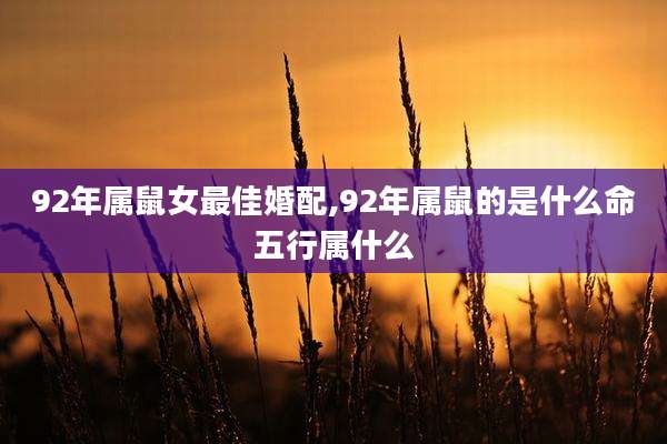 92年属鼠女最佳婚配,92年属鼠的是什么命五行属什么