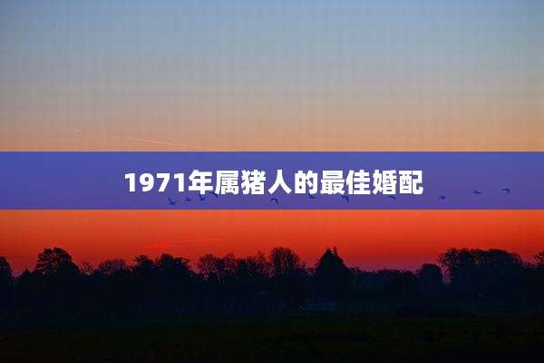 1971年属猪人的最佳婚配