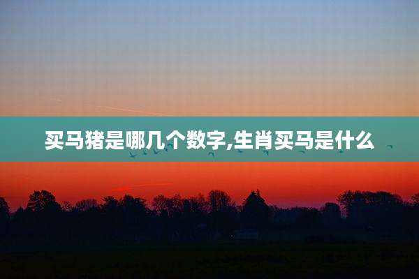 买马猪是哪几个数字,生肖买马是什么