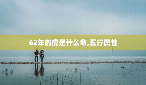 62年的虎是什么命,五行属性
