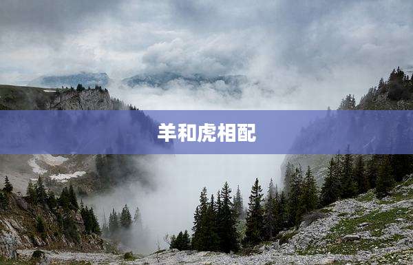 羊和虎相配