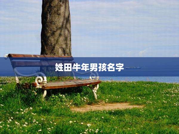 姓田牛年男孩名字