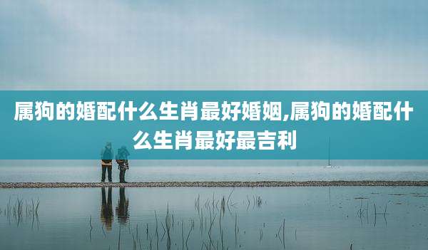 属狗的婚配什么生肖最好婚姻,属狗的婚配什么生肖最好最吉利
