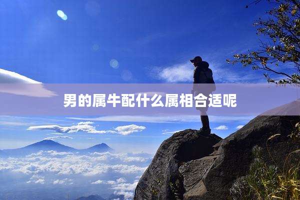 男的属牛配什么属相合适呢