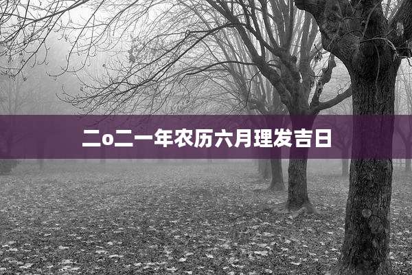 二o二一年农历六月理发吉日
