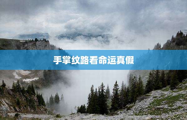 手掌纹路看命运真假