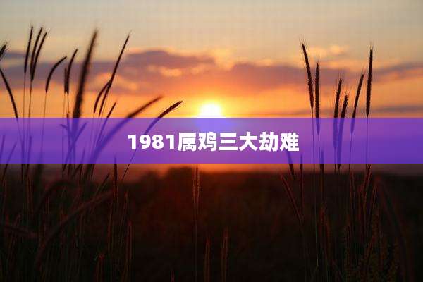 1981属鸡三大劫难