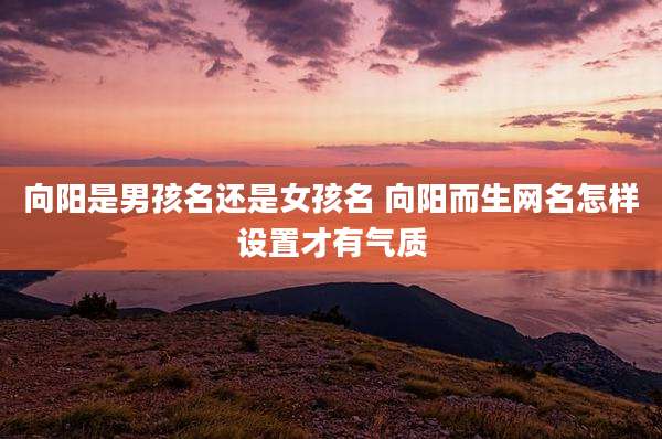 向阳是男孩名还是女孩名 向阳而生网名怎样设置才有气质