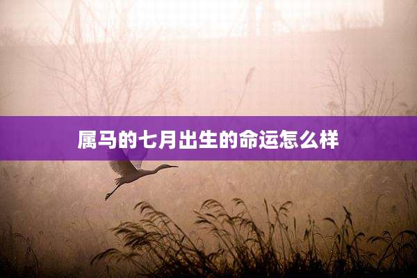 属马的七月出生的命运怎么样