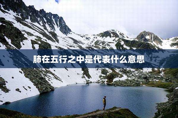 肺在五行之中是代表什么意思