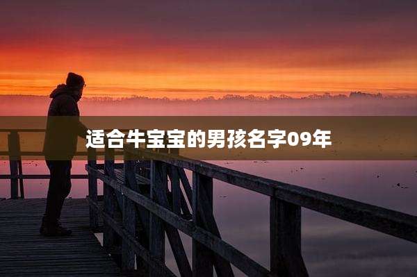 适合牛宝宝的男孩名字09年