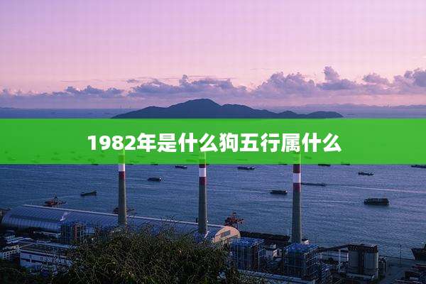 1982年是什么狗五行属什么