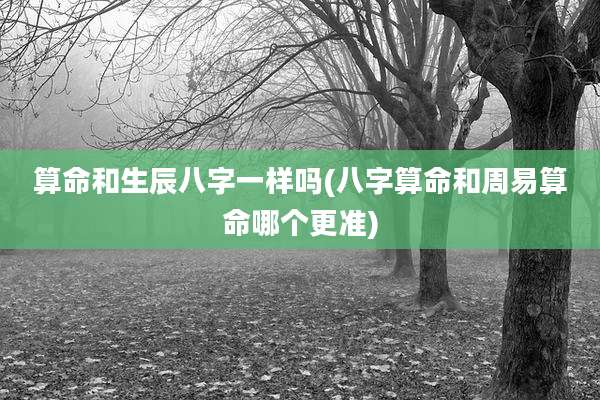 算命和生辰八字一样吗(八字算命和周易算命哪个更准)