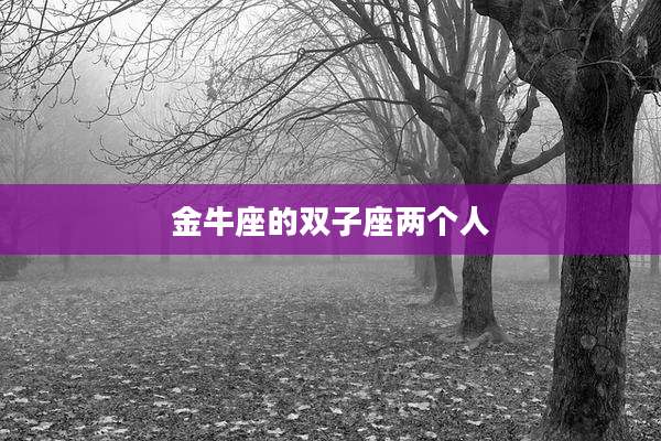 金牛座的双子座两个人