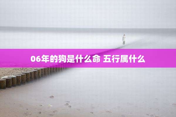 06年的狗是什么命 五行属什么