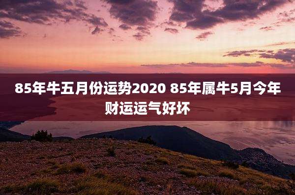 85年牛五月份运势2020 85年属牛5月今年财运运气好坏