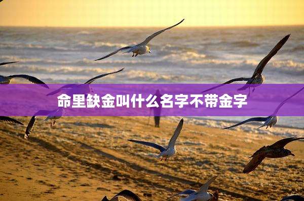 命里缺金叫什么名字不带金字