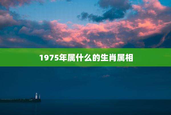 1975年属什么的生肖属相