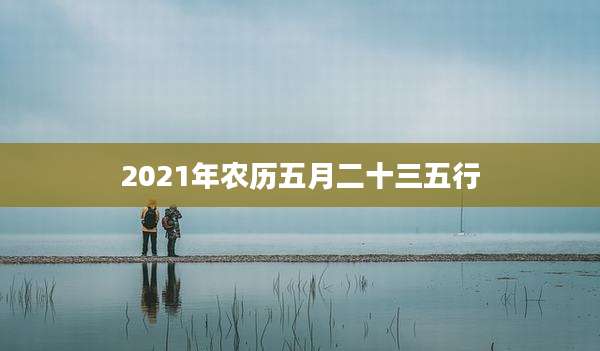 2021年农历五月二十三五行