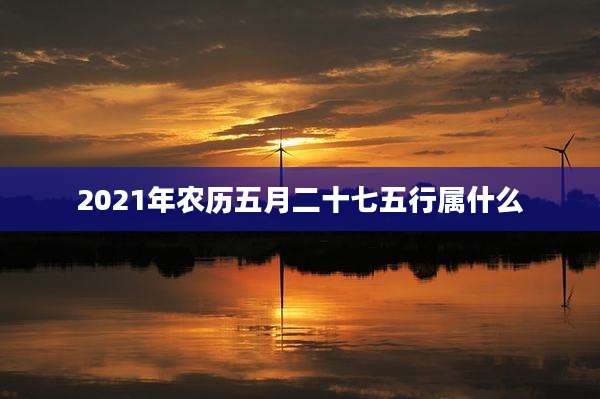 2021年农历五月二十七五行属什么