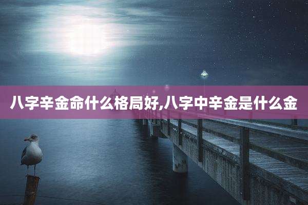 八字辛金命什么格局好,八字中辛金是什么金
