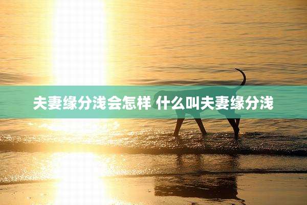 夫妻缘分浅会怎样 什么叫夫妻缘分浅