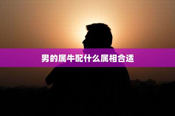 男的属牛配什么属相合适