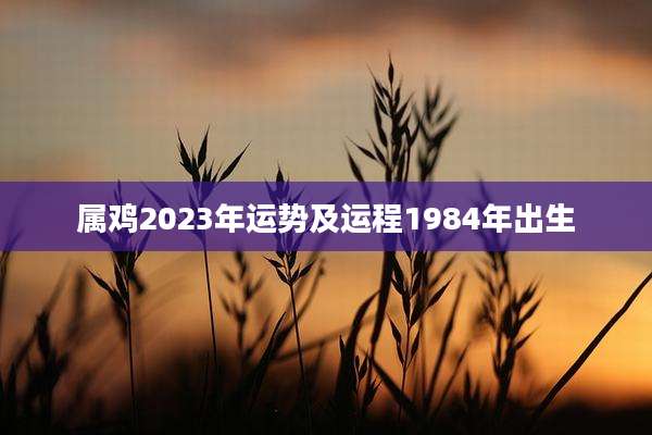 属鸡2023年运势及运程1984年出生