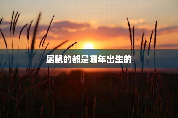 属鼠的都是哪年出生的