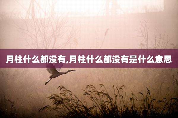 月柱什么都没有,月柱什么都没有是什么意思
