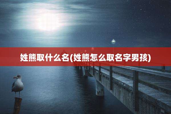 姓熊取什么名(姓熊怎么取名字男孩)