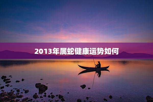 2013年属蛇健康运势如何
